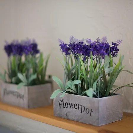 104 2* Stargard Szczeciński